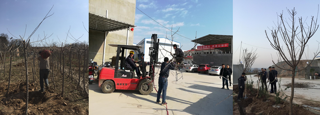 寶雞捷銳“迎春風(fēng)，綠家園”植樹節(jié)(圖2)